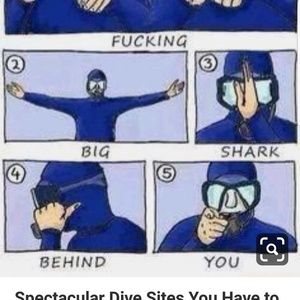 Meet your Posher, Jerry